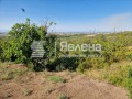 Продава ПАРЦЕЛ, с. Брестовица, област Пловдив, снимка 2