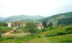 Grund Matenitsa, region Plovdiv 1