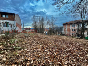 ����� ������� ������,���� �������, �������