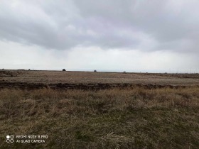 ����� ������� ������,���� �����, ��. �����