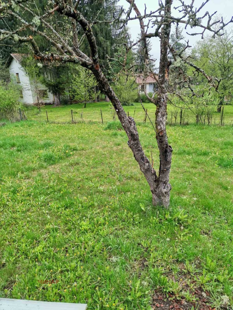 Myytävänä  Huvila Sofian alue , m-t Metškata , 100 neliömetriä | 39614219 - kuva [4]