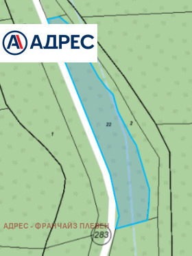 ����� ������� ������,�. ����� ����, ������ �����