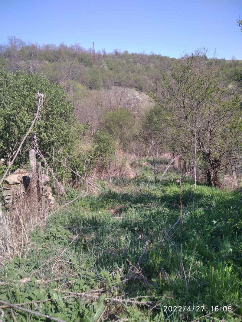 ������� ������ | Imot.bg � ����������� 4