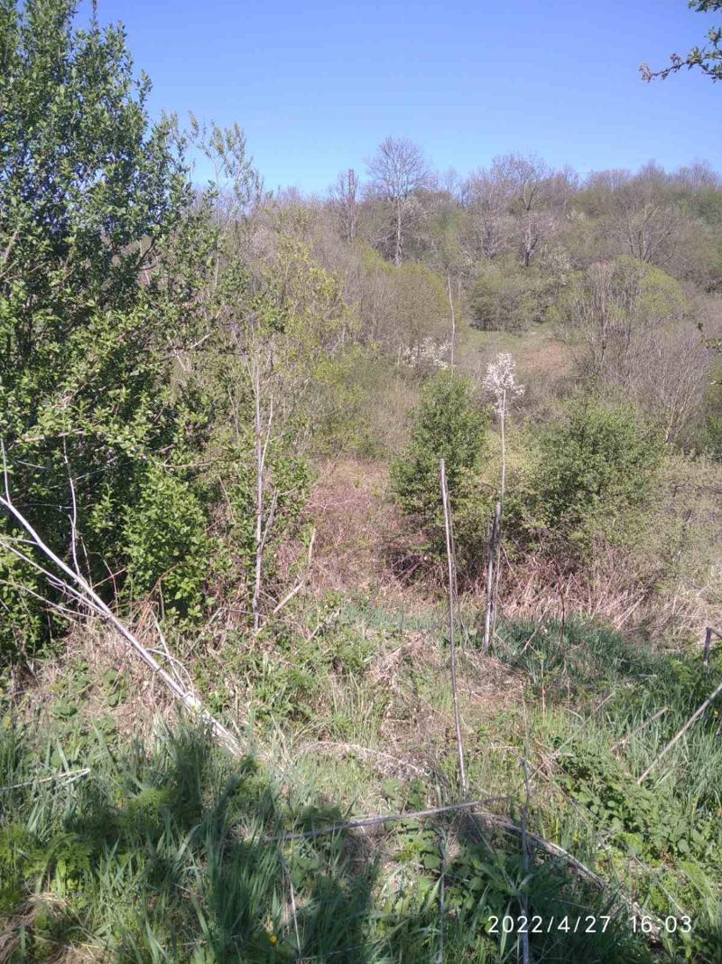 ������� ������ | Imot.bg � ����������� 6