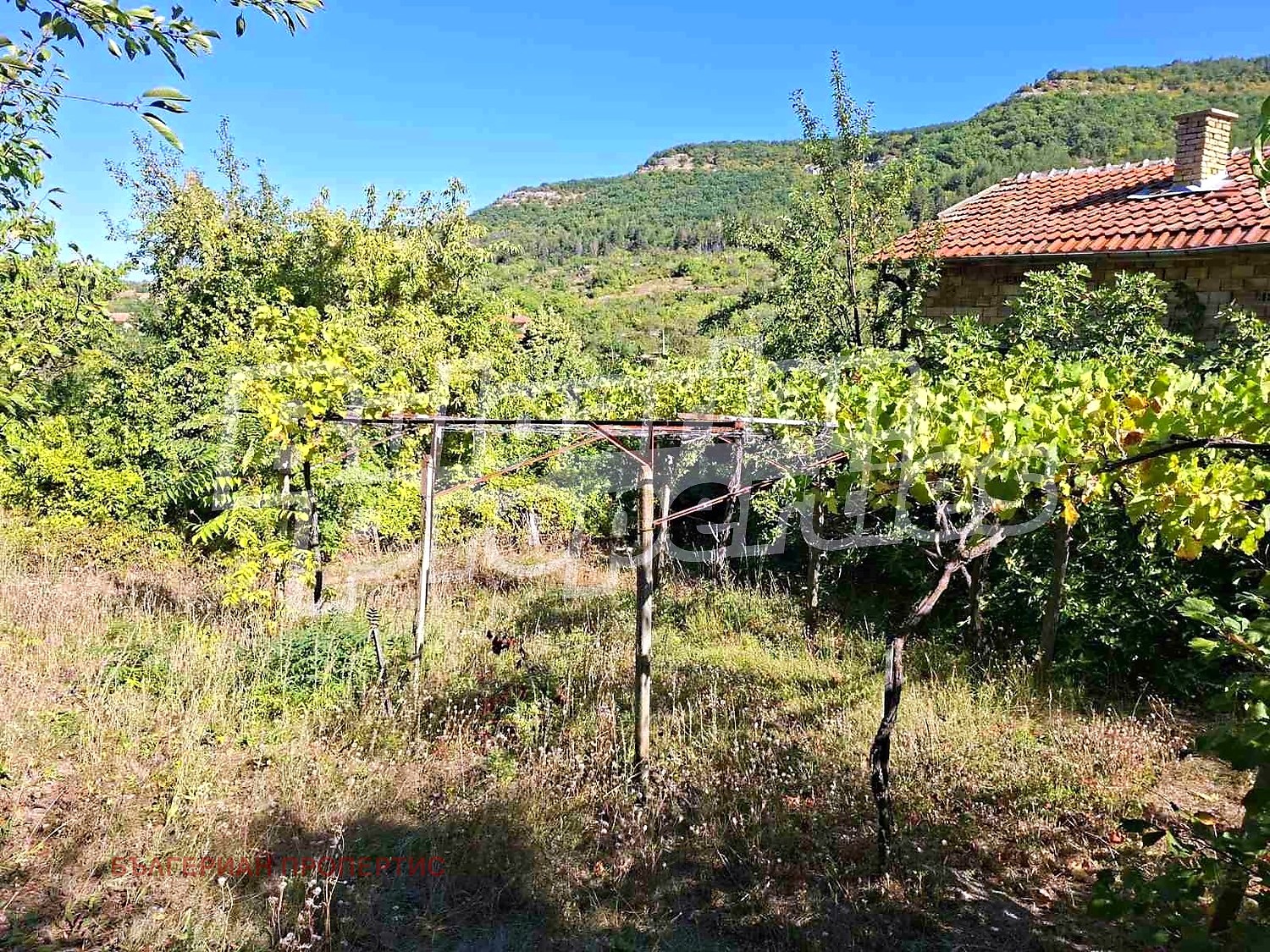 ������� ���� | Imot.bg � ����������� 12