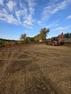 ����� ������� ������,��. ���������, ������ �������