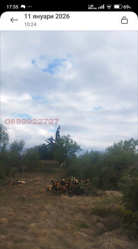 ����� ������� ������,�. ������, ������ ����� ������