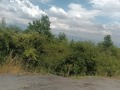Продава ПАРЦЕЛ, град София, с. Бистрица • 139000 € / 271860.37 лв. • 59032915 3