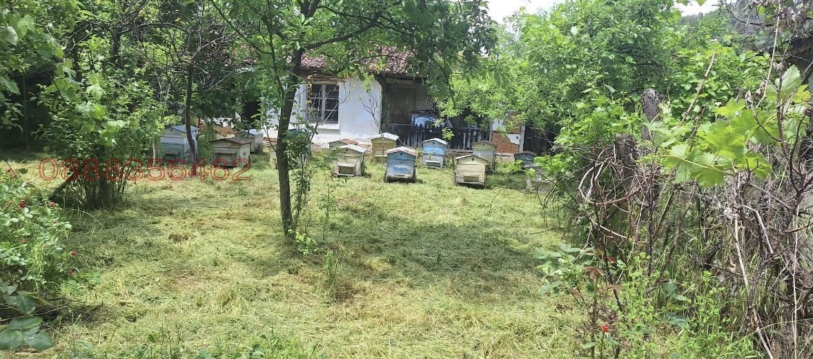 ������� ���� | Imot.bg � ����������� 11