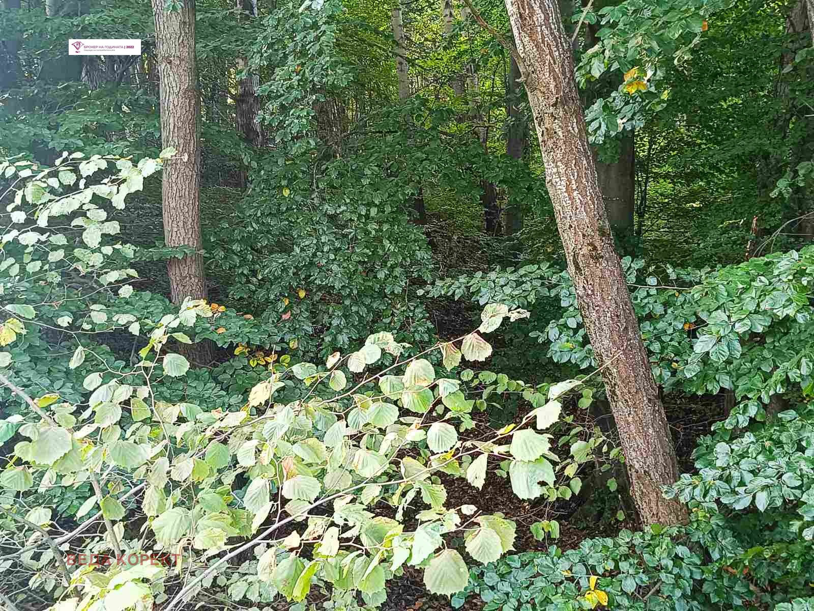 Продава ПАРЦЕЛ | Imot.bg — изображение 6