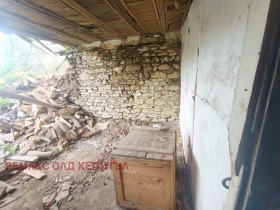 ����� ������� ����,�. �������, ������ ������ �������>