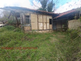 ����� ������� ����,�. �������, ������ ������ �������