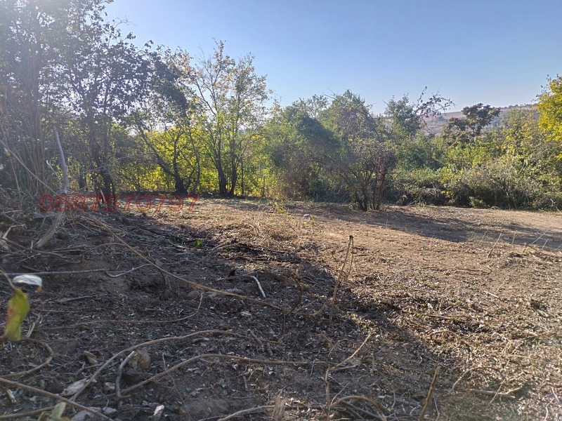 Продава ПАРЦЕЛ, с. Червен, област Русе, снимка 4 - Парцели - 52784276