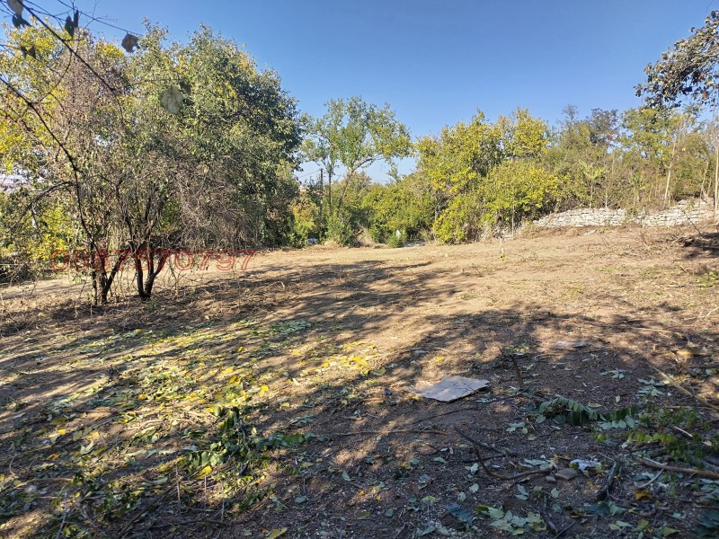 Продава ПАРЦЕЛ, с. Червен, област Русе, снимка 2 - Парцели - 52784276