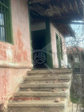 ������ ������� ����