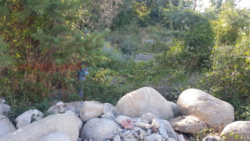 Продава ПАРЦЕЛ, гр. Банско, област Благоевград, снимка 6 - Парцели - 52785620