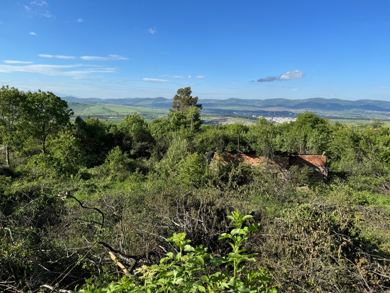 Zu verkaufen  Handlung region Pernik , Golemo Butschino , 800 qm | 26024172 - Bild [2]