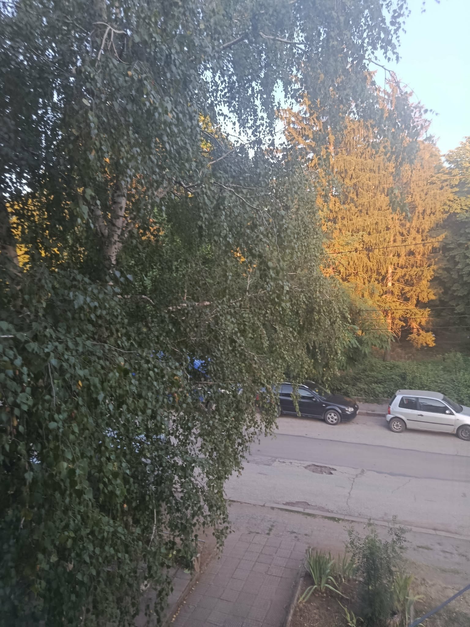 Продава 2-СТАЕН, гр. София, гр. Бухово, снимка 3 - Апартаменти - 55883288