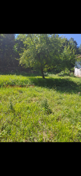 ������� ������ | Imot.bg � ����� ������ 7