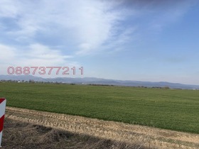 ������ ������� ������