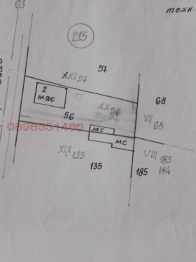 ����� ������� ������,���� �����, �������