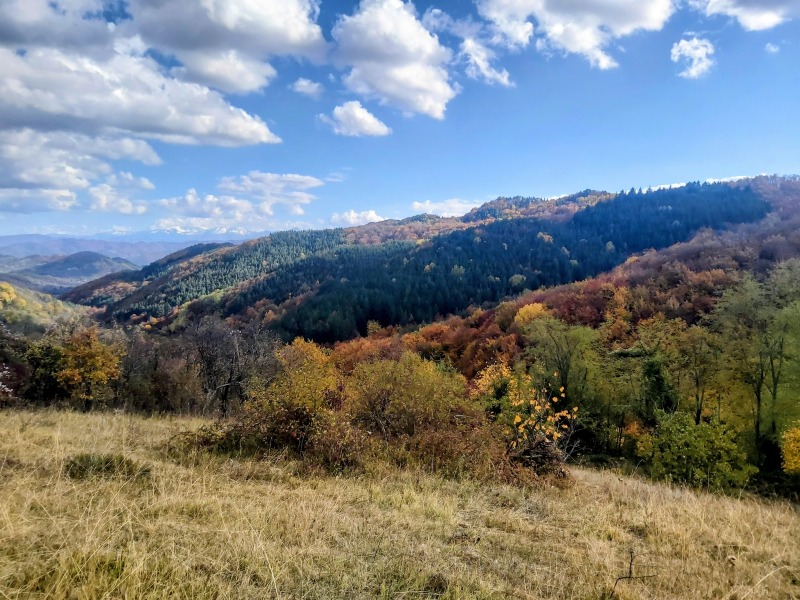 Продава ЗЕМЕДЕЛСКА ЗЕМЯ, с. Терзийско, област Ловеч, снимка 5 - Земеделска земя - 52571060