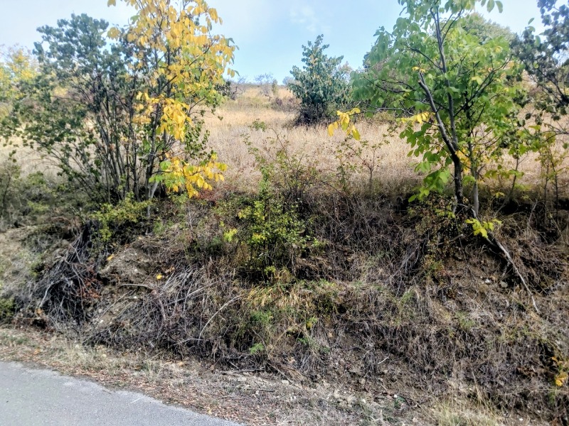 Продава ЗЕМЕДЕЛСКА ЗЕМЯ, с. Терзийско, област Ловеч, снимка 2 - Земеделска земя - 52571060