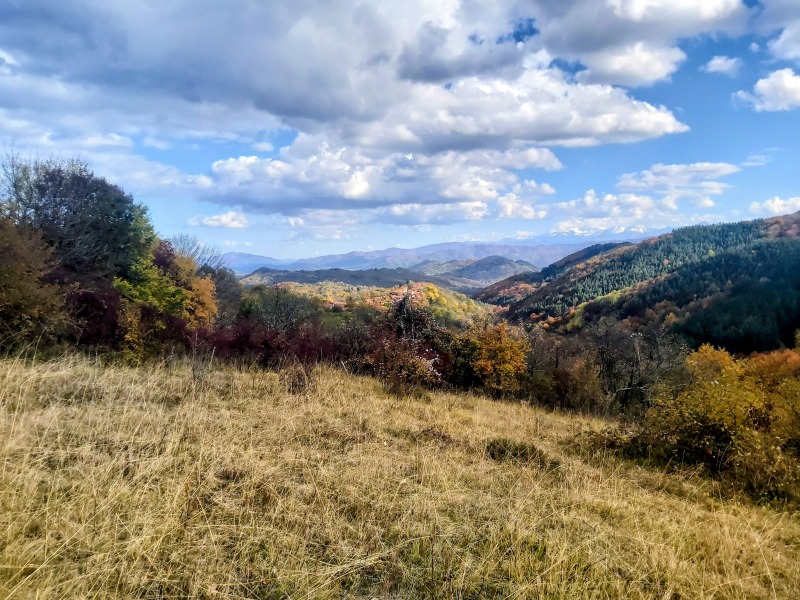 Продава ЗЕМЕДЕЛСКА ЗЕМЯ, с. Терзийско, област Ловеч