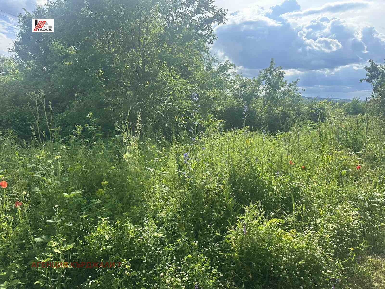 Продава ПАРЦЕЛ, гр. Кърджали, Веселчане, снимка 6 - Парцели - 54674433