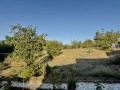 Продава КЪЩА, гр. Враца, Студентски град, снимка 12