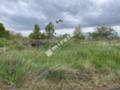 Продава ПАРЦЕЛ, гр. София, с. Бистрица, снимка 7