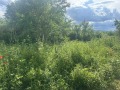 Продава ПАРЦЕЛ, гр. Кърджали, Веселчане, снимка 6