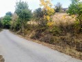 Продава ЗЕМЕДЕЛСКА ЗЕМЯ, с. Терзийско, област Ловеч, снимка 2