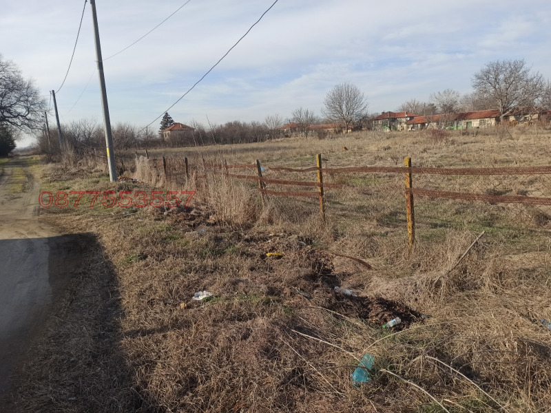 Продава ПАРЦЕЛ, с. Мирово, област Стара Загора, снимка 3 - Парцели - 52778818