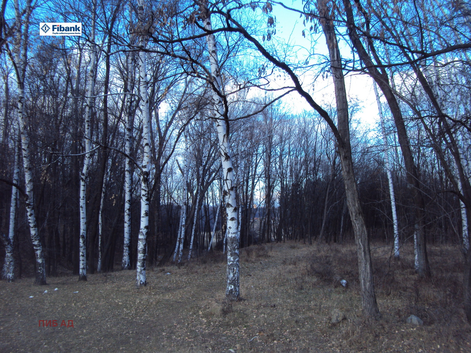 Продава ПАРЦЕЛ, гр. София, с. Бистрица, снимка 2 - Парцели - 53629411