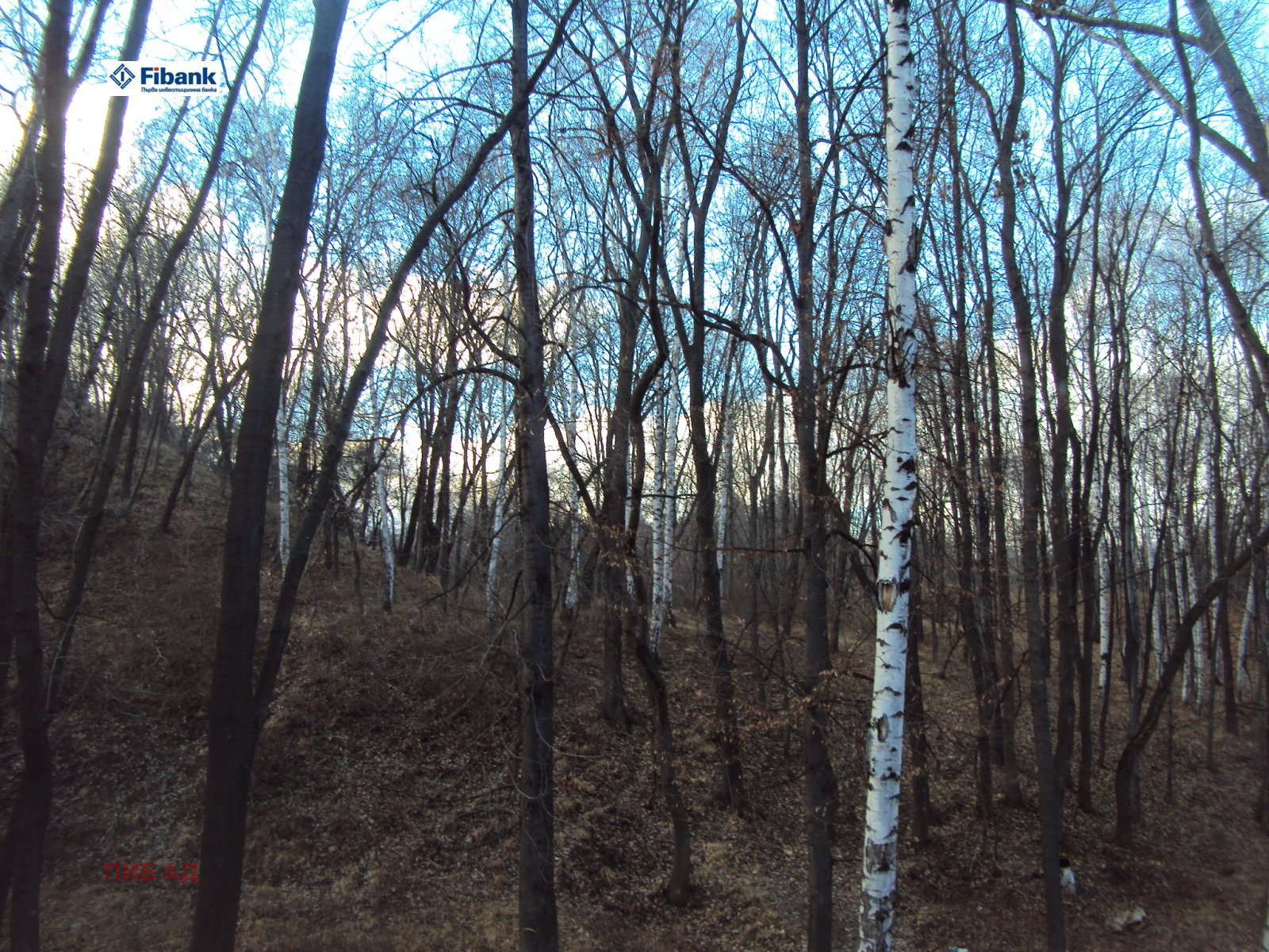 Продава ПАРЦЕЛ, гр. София, с. Бистрица, снимка 3 - Парцели - 53629411