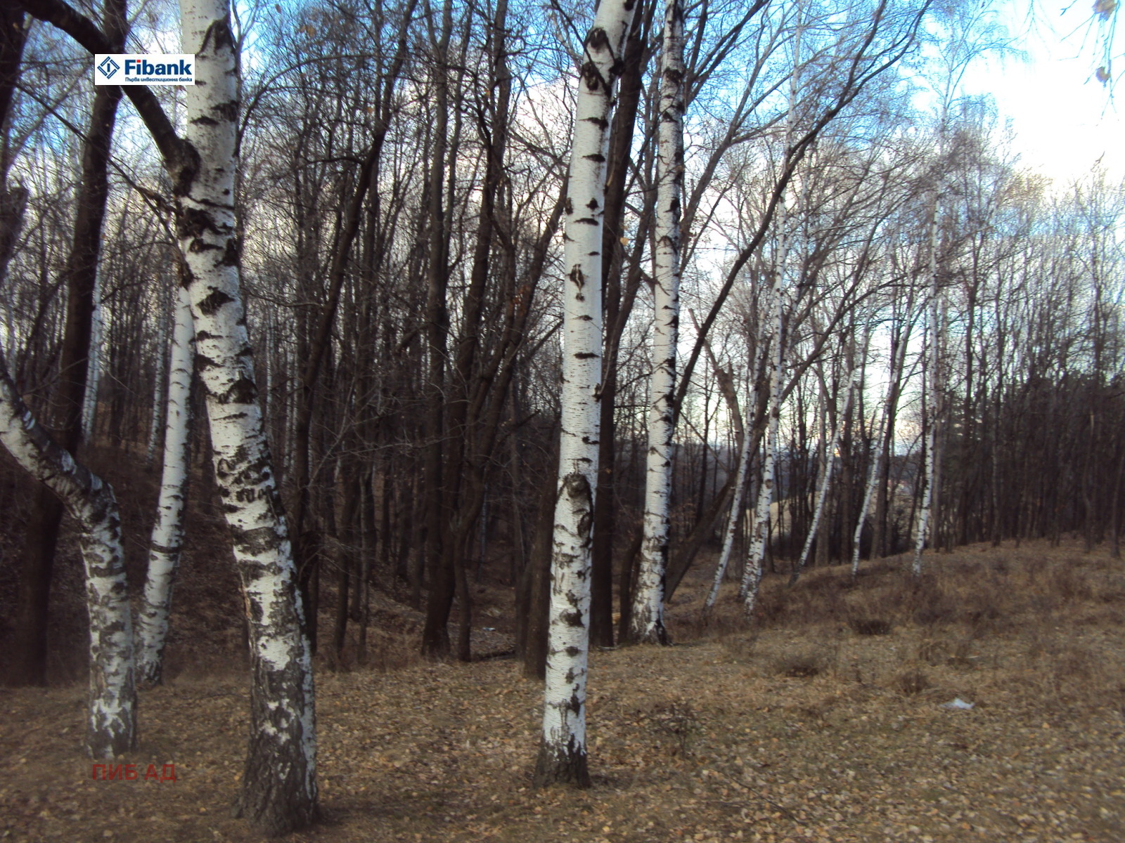 Продава ПАРЦЕЛ, гр. София, с. Бистрица, снимка 2 - Парцели - 53629411