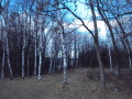 Продава ПАРЦЕЛ, гр. София, с. Бистрица, снимка 2