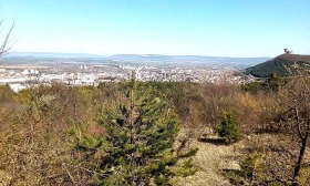 Парцел град Шумен, Дивизионна болница 1