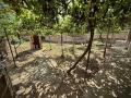 Продава КЪЩА, област Велико Търново, с. Куцина • 32000 € • 27184500 17