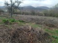 Продава ПАРЦЕЛ, област Пазарджик, с. Црънча • 31070 € • 78242739 — Holmes.bg