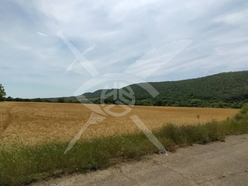 Продава ПАРЦЕЛ, с. Медово, област Бургас, снимка 2 - Парцели - 52639785