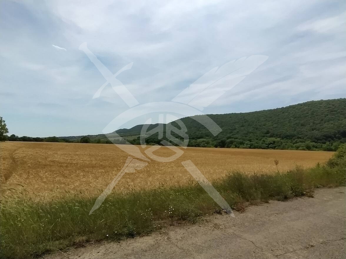 Продава ПАРЦЕЛ, с. Медово, област Бургас, снимка 2 - Парцели - 53318589
