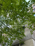 Продава 2-СТАЕН, град София, Красно село • 229000 € • 53681314 — Holmes.bg