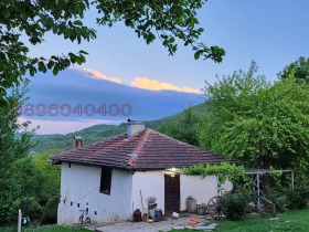 ����� ������� ����,�. �������, ������ �����