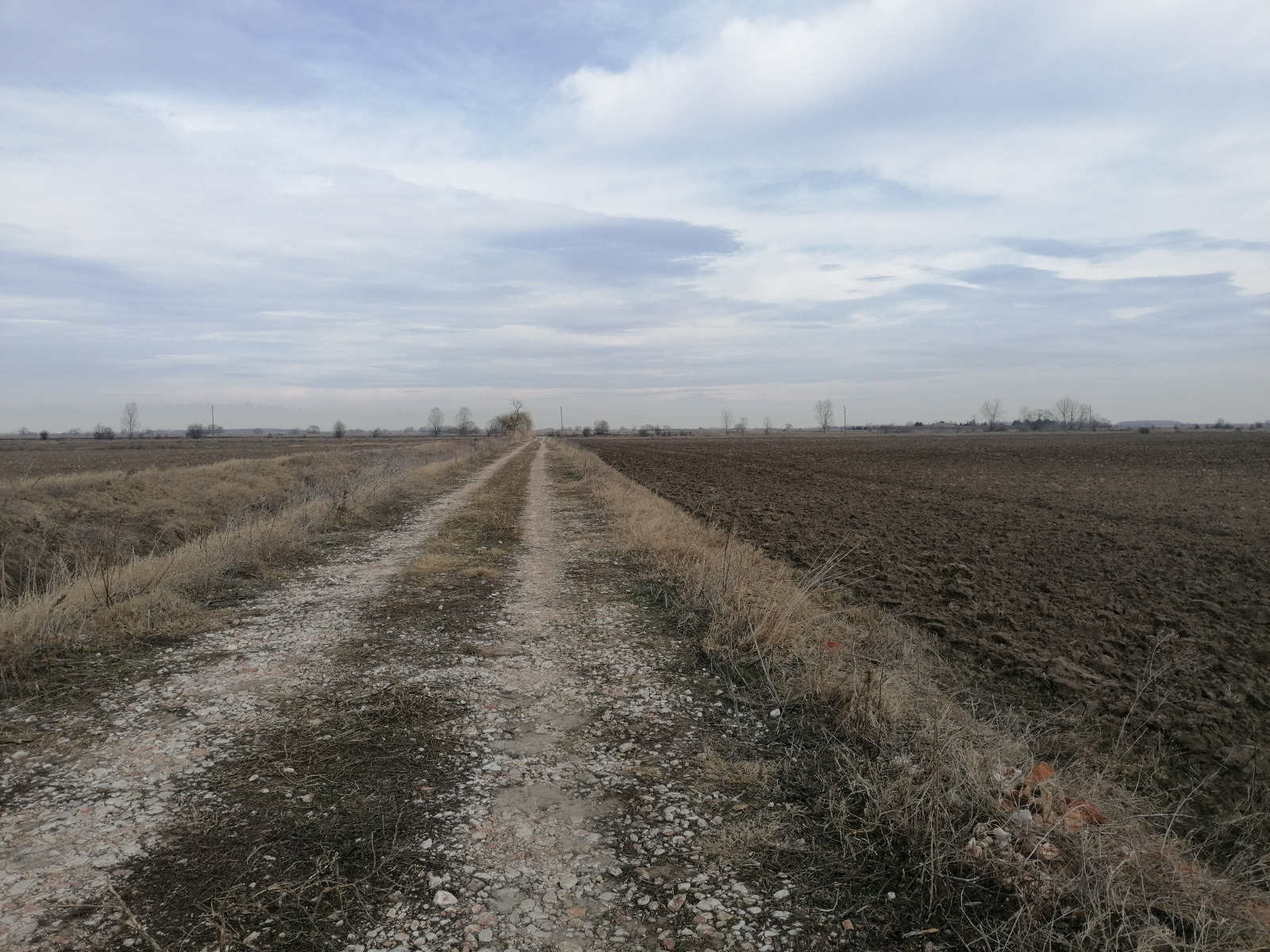 Продава ПАРЦЕЛ, с. Войсил, област Пловдив, снимка 2 - Парцели - 53654639