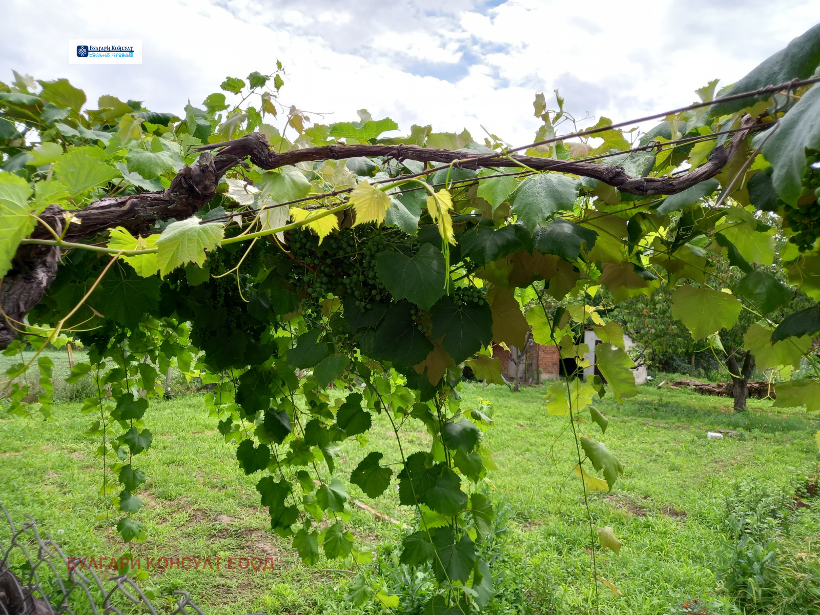 Продава КЪЩА | Imot.bg — изображение 4