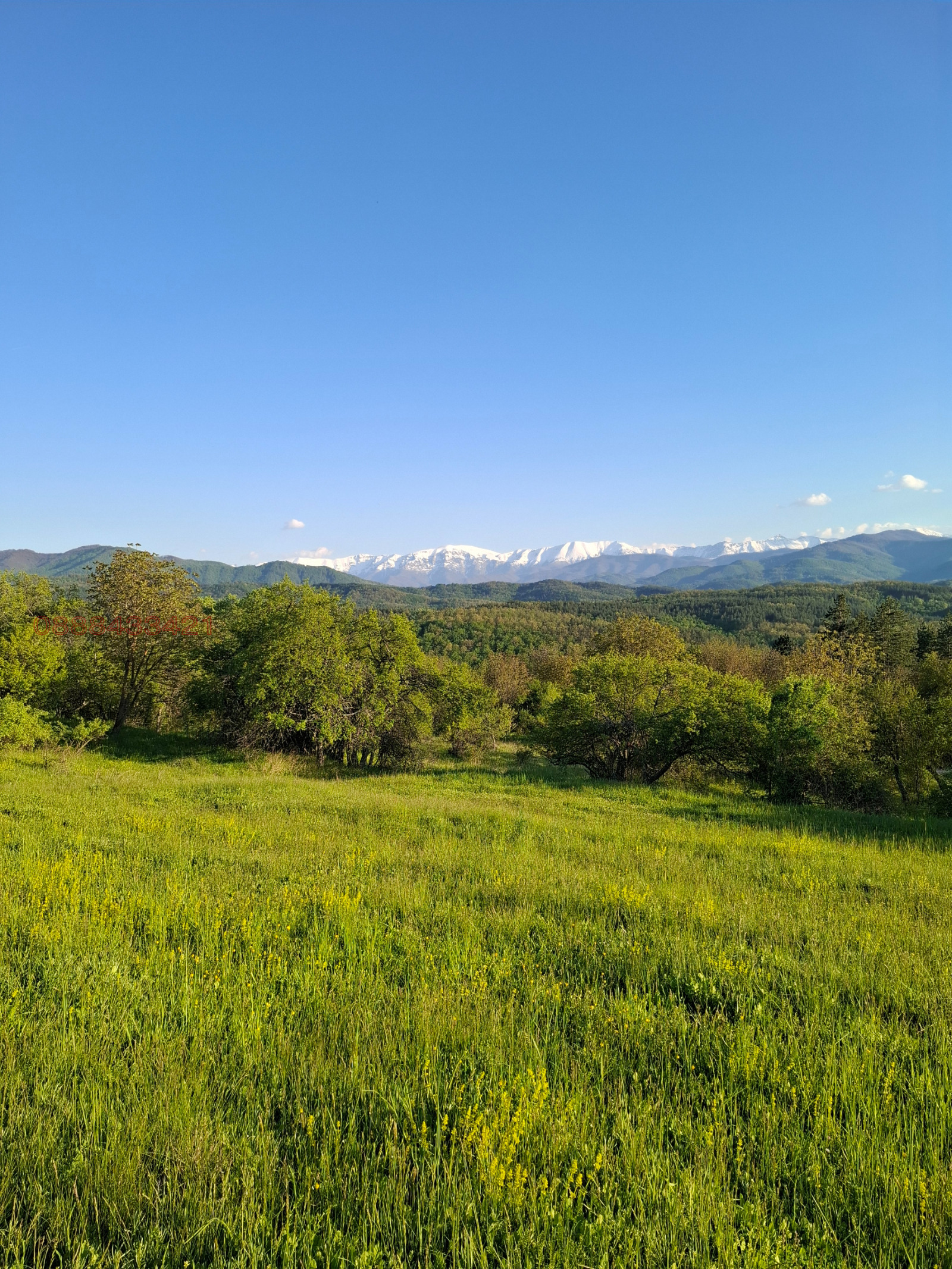 ������� ������ | Imot.bg � ����������� 1
