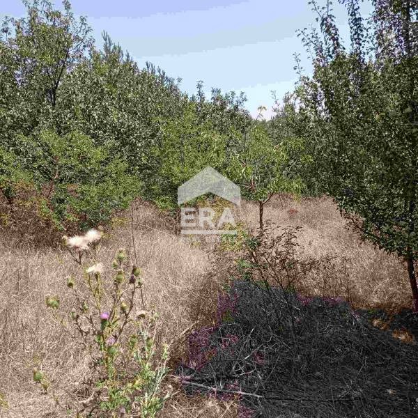 Продава  Парцел област София , гр. Костинброд , 994 кв.м | 66516556