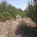 Продава ПАРЦЕЛ, област София, гр. Костинброд • 79520 € • 81597049 — Holmes.bg